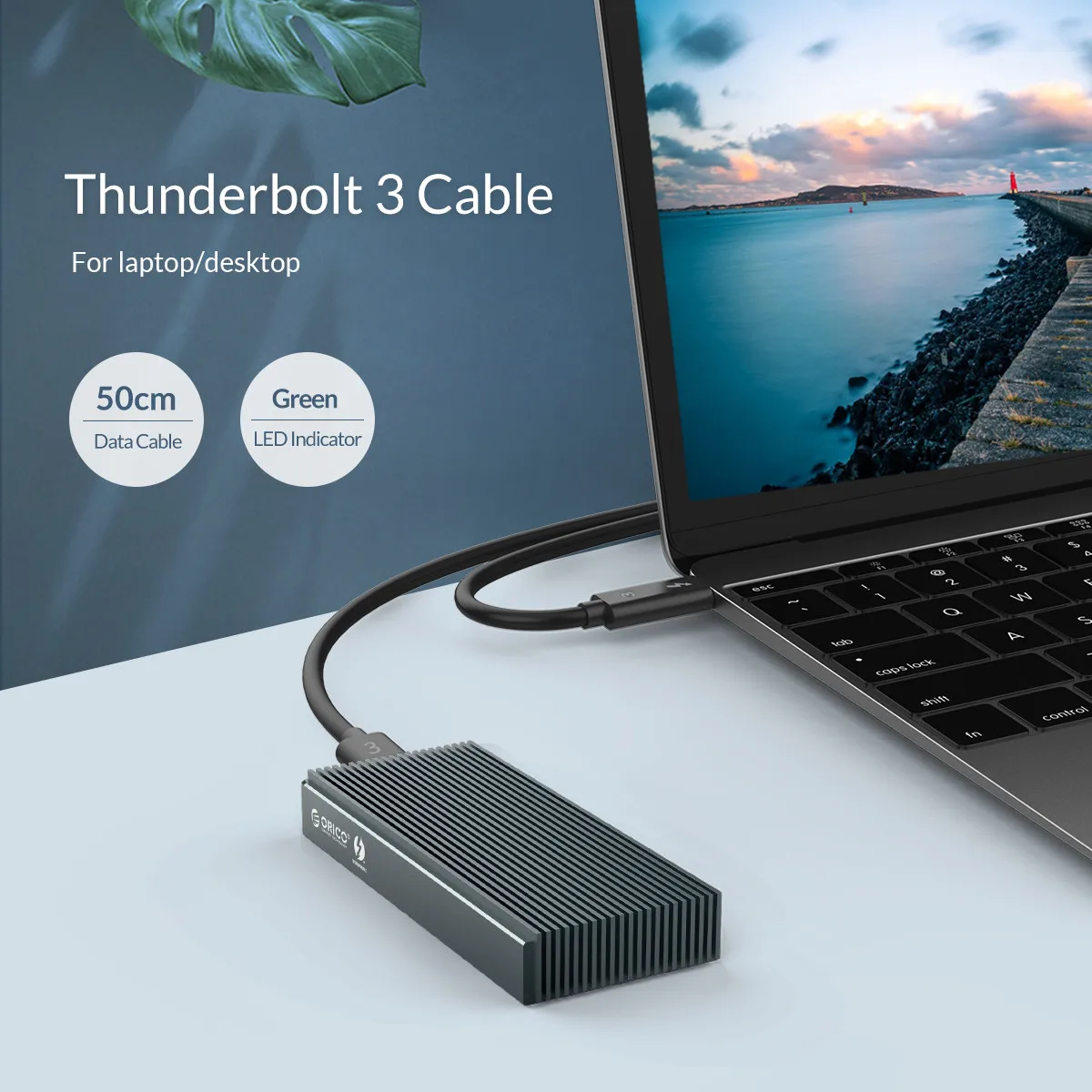 ORICO Thunderbolt 3 NVME M.2 SSD корпус Поддержка 2 ТБ алюминиевый SSD чехол USB C с 40 Гбит/с Thunderbolt 3 C до C кабель