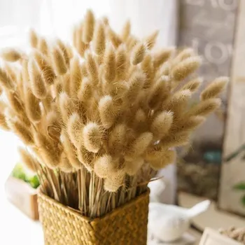 

30pcs/set Natural Dried Flowers Rabbit Tail Grass Bunch Colorful Lagurus Ovatus Real Flower Grass Props For Wedding Decoration