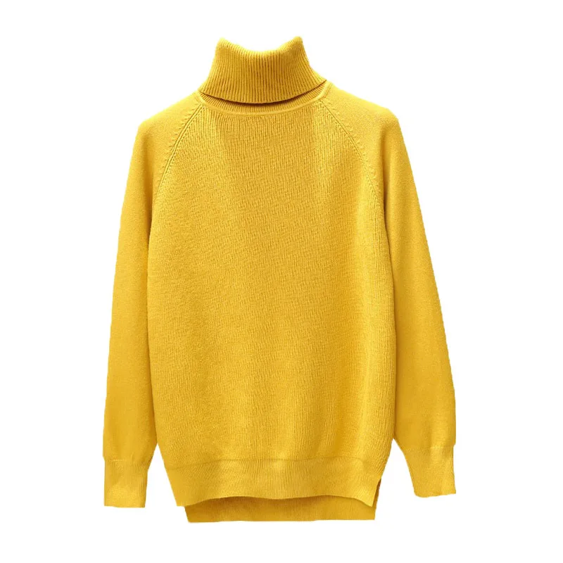 

AECU Turtleneck Women Sweater Winter Warm Female Jumper Thick Christmas Sweaters Ribbed Knitted Pullover Top Pull Hiver Femme