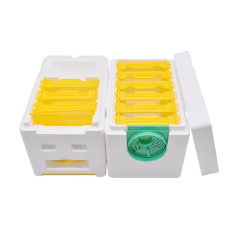 

Beekeeping Tools Box Single layer Harvest Queen Pollination Beekeeping For Bee Mating Copulation Queen Reserve Beehive Hive