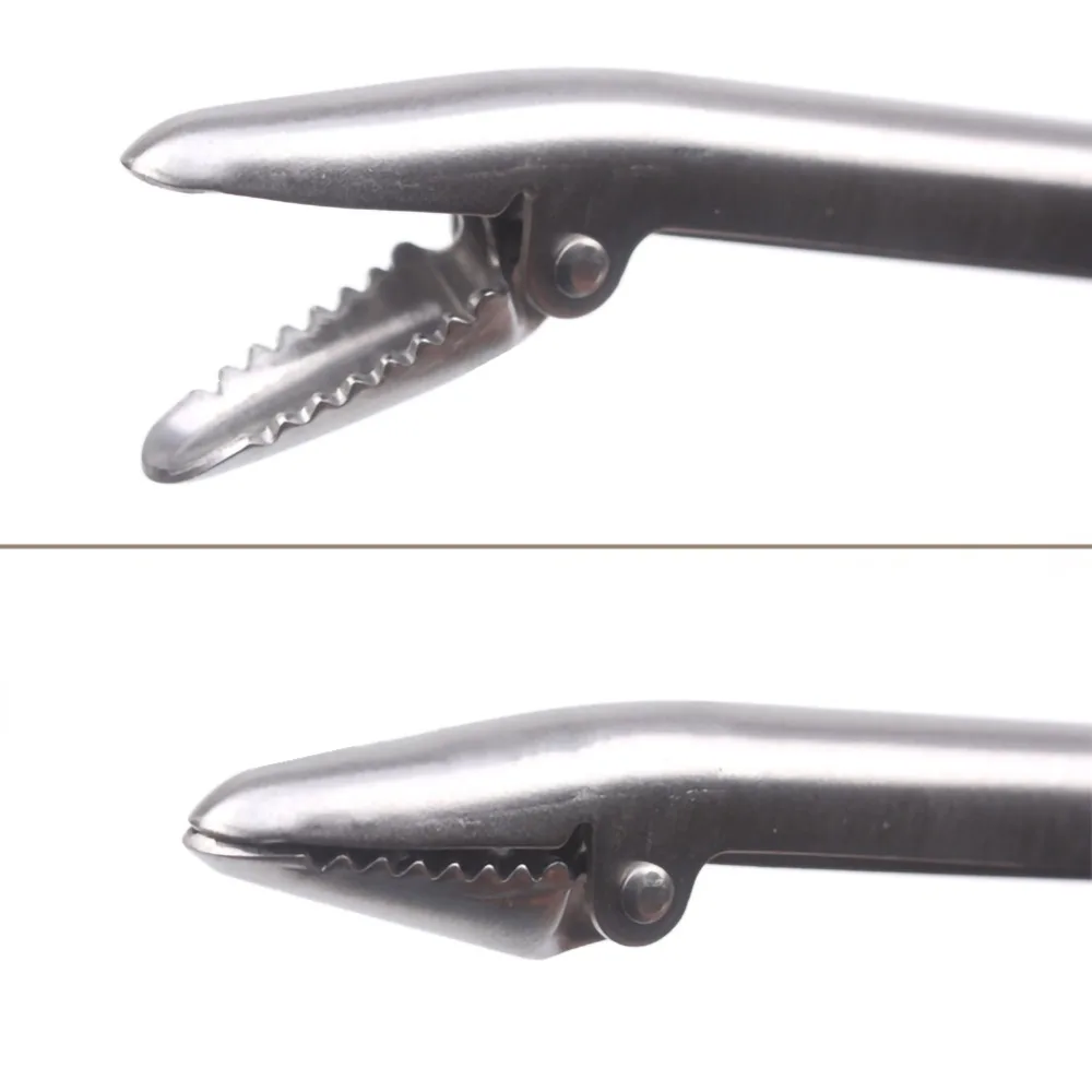 4cacc868904c2cf84f09f07dc265b3fe