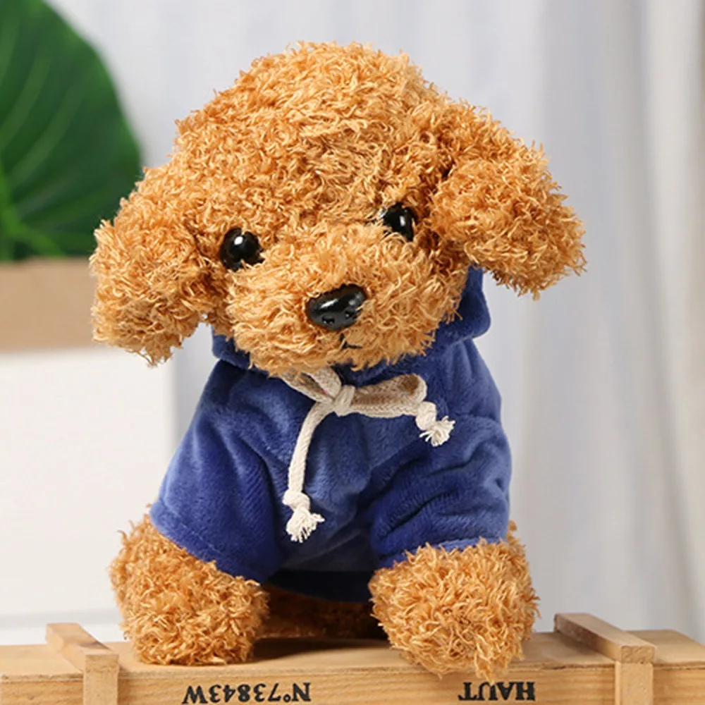 Teddy Dog Rag  (24)