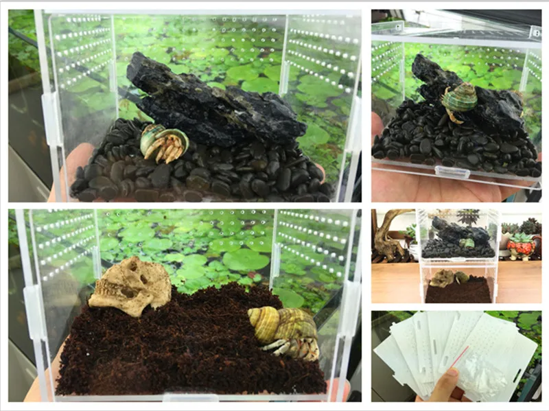 Reptile breeding box (13)