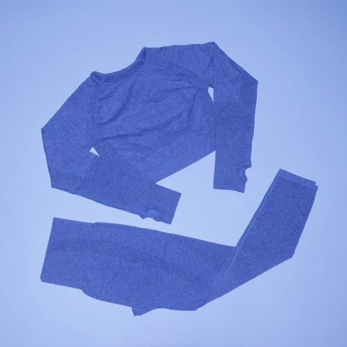 Vital бесшовный комплект для йоги Женская одежда для фитнеса спортивная женская спортивная одежда леггинсы для спортзала облегающая, с длинным рукавом укороченный топ 2 шт. спортивные костюмы - Цвет: Gray blue 2Pcs set