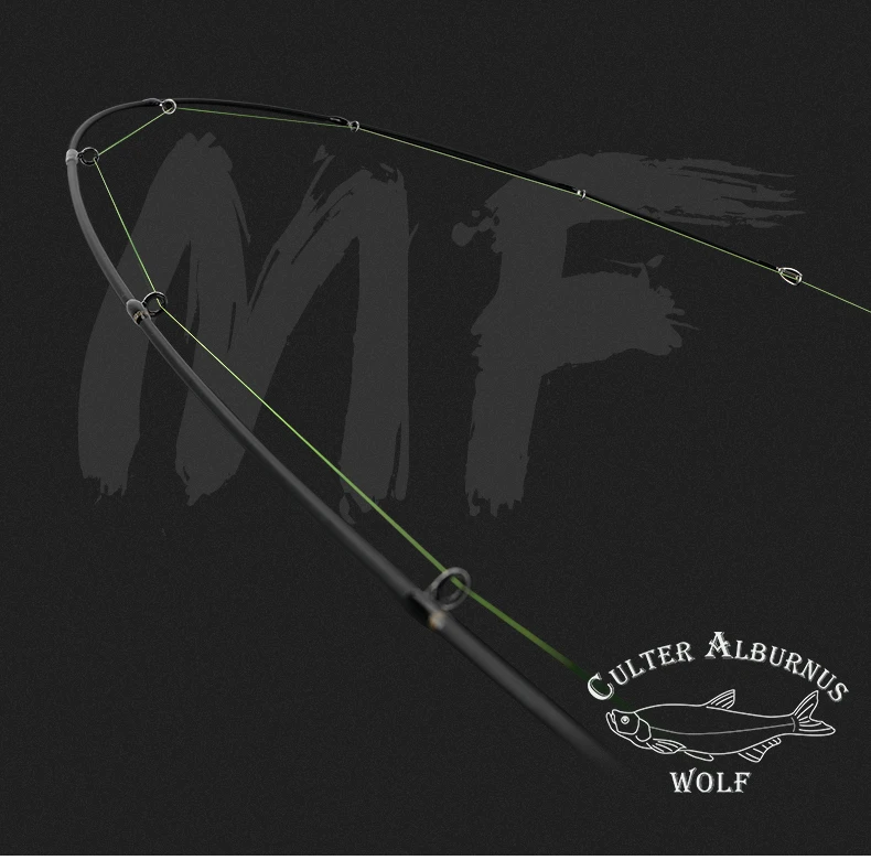 RoseWood 2,2 м 2,28 м спиннинговое литье удилище Fuji аксессуары m& ML power 2 Секции Удочка Япония MF Action соленая пресноводная вода