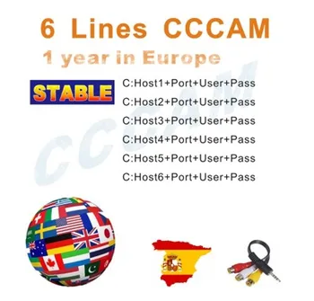 

2020 Europe 12 months new 4 & 6 clines cccam DVB S2 full HD very stable 6 clines cccam