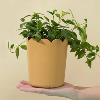 

Simple Thickened Small Flower Pot Home Creative Succulent Pot