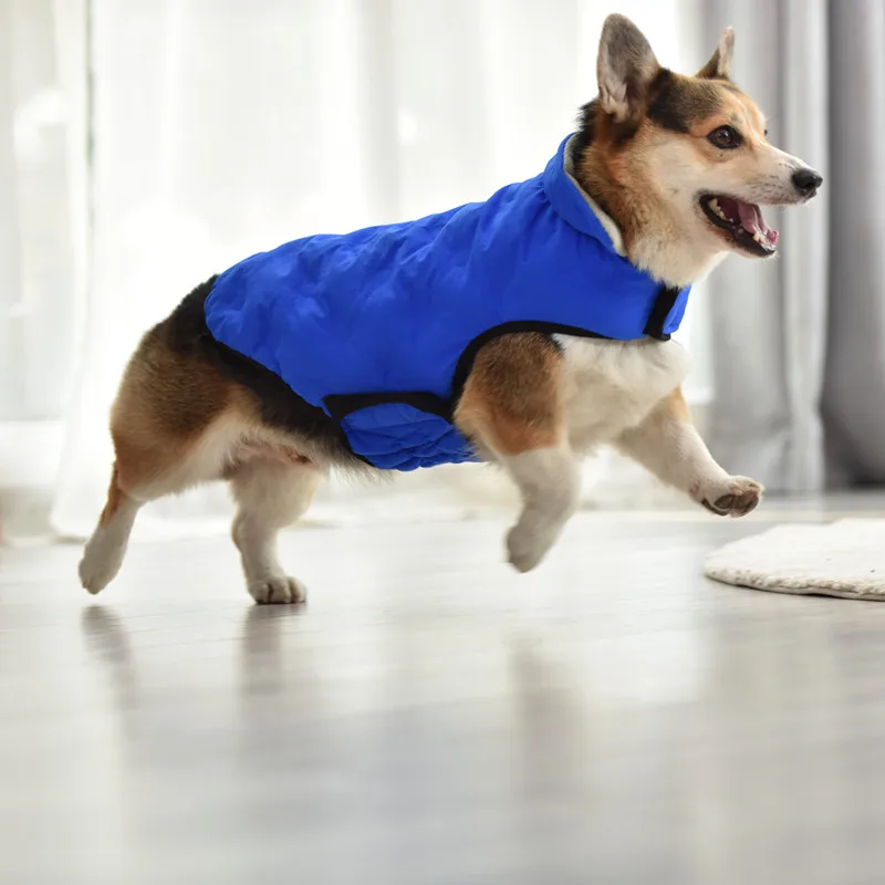 Одежда с принтом в виде собак зимние теплые Pet куртки для щенков
