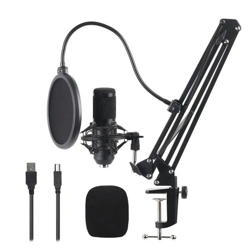Hot Microphone Vocal Record Singing Studio PC USB