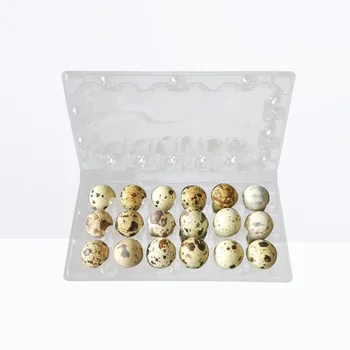 

50 Pcs Quail Egg Storage Box Egg Storage Holder Dispenser for Refrigerator Kitchen Home