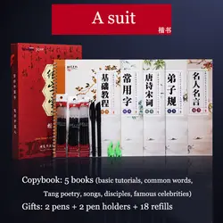 5 Книг 3D китайские персонажи многоразовые паз каллиграфии копировальная книга стираемая ручка обучения hanzi взрослых искусство тетради для