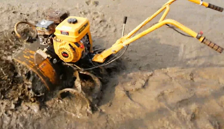 O1CN011zqdh21SDb4uanM84_!!2588772213