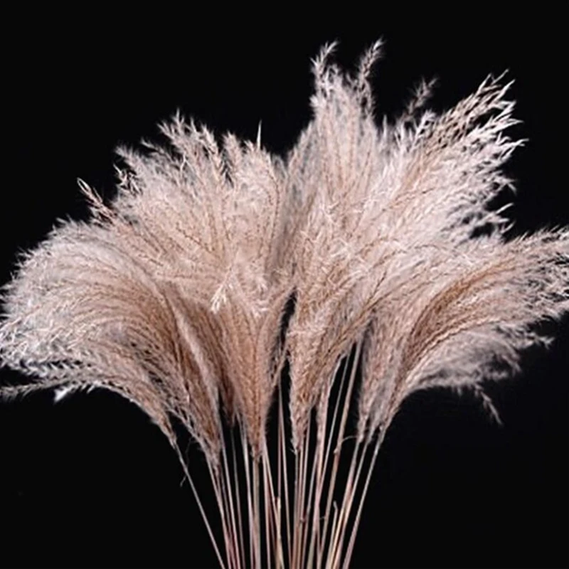 9041385909_1793310583