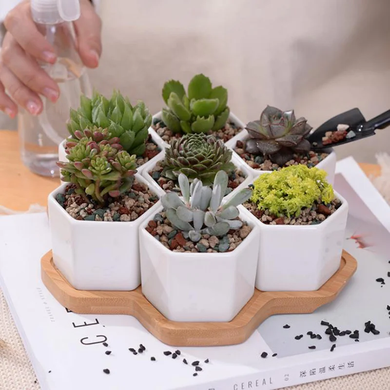 Ceramic Succulent Plant Pot Cactus Plant Pot Flower Pot bonsai Container Planter with Bamboo Tray Garden Decoration