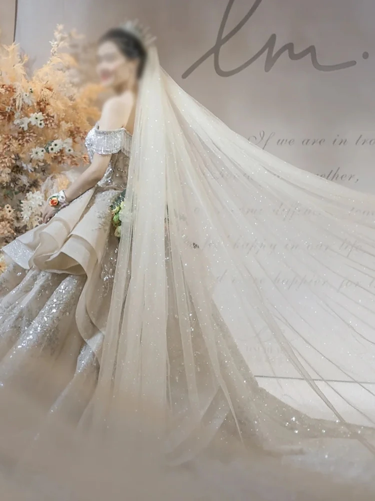 B58-D Funkelnder Hochzeitsschleier, Champagnerfarbener Hochzeitsschleier, glitzernder Brautschleier, langer 3M/5M Brautschleier, luxuriöser Kathedralenschleier – Detail 4