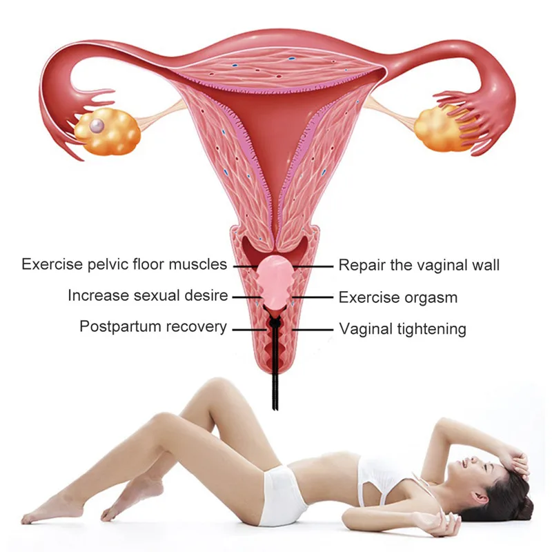 302683_no-logo_302683-1-04-c