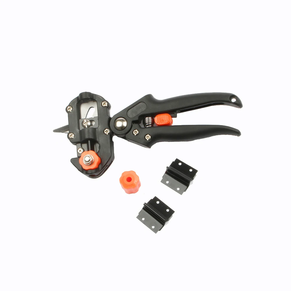 HTB1FwVHhrSYBuNjSspiq6xNzpXa9