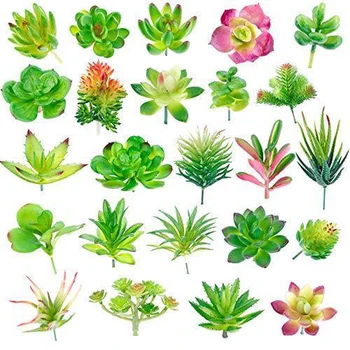 Lote de 24 plantas carnosas artificiales, Cactus en miniatura para jardín, flores artificiales, suculentas falsas para el hogar