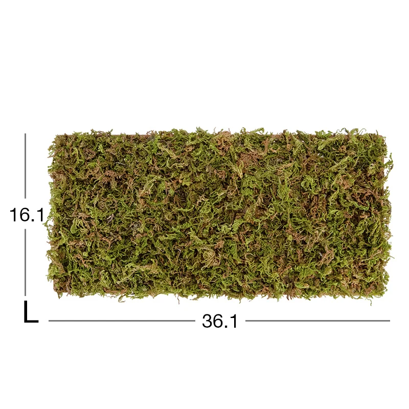 Moss mat-496