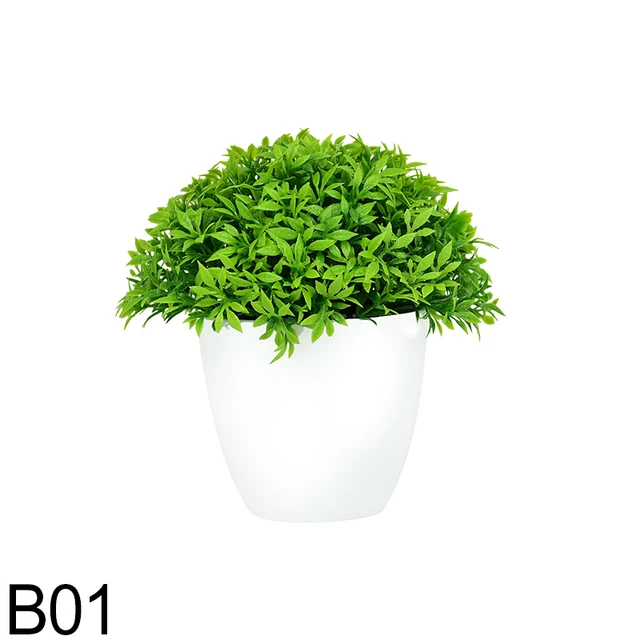 B01