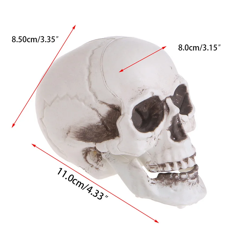 Plastic Human Mini Skull Decor Prop Skeleton Head Halloween Coffee Bars Ornament 2