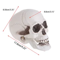 Plastic Human Mini Skull Decor Prop Skeleton Head Halloween Coffee Bars Ornament 2