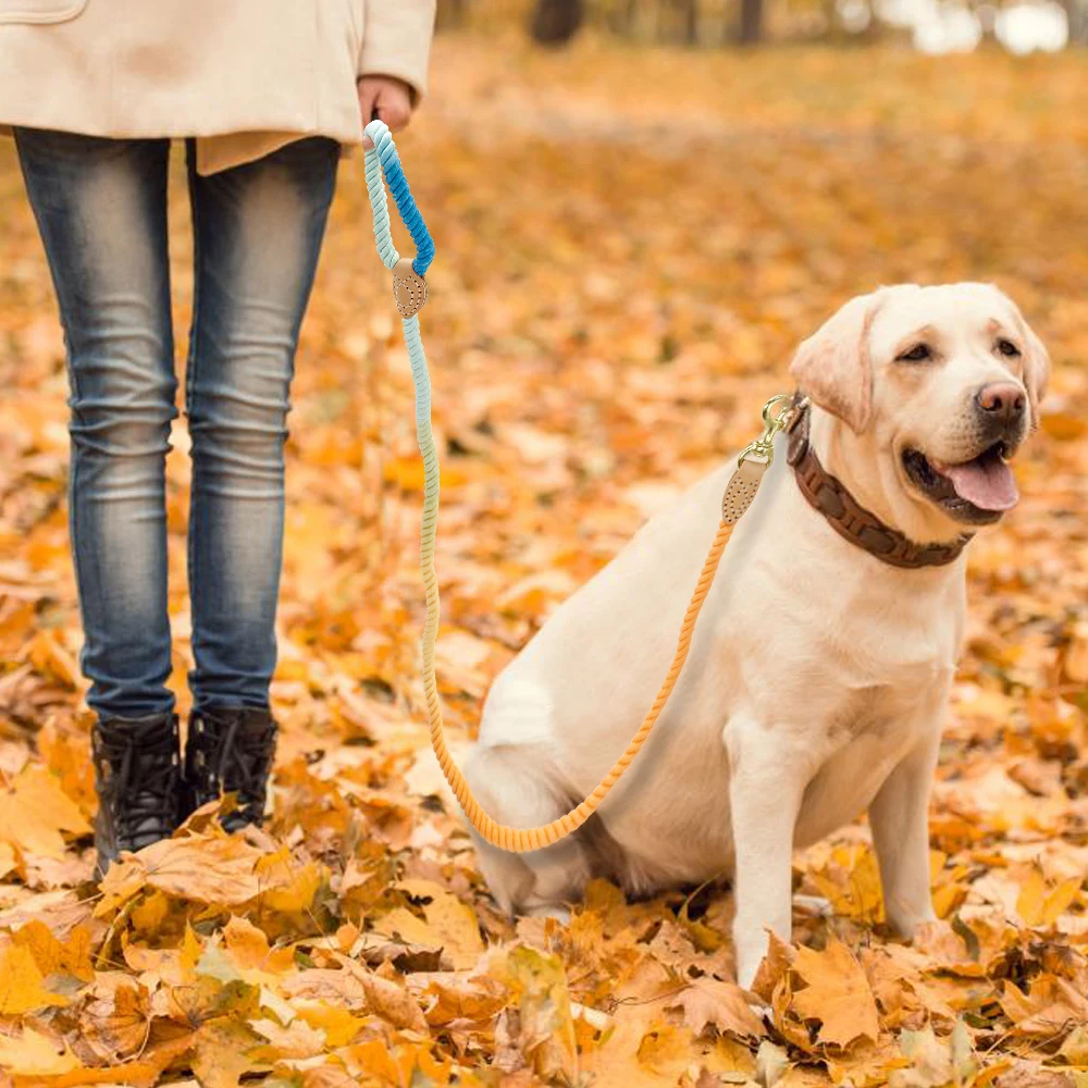 cão macio pet trela corda náilon pequeno médio grande cães trelas longo resistente filhote de cachorro caminhadas cordas de chumbo para cães