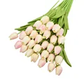 Image 15