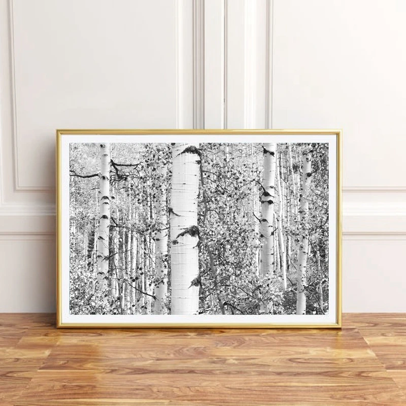 Birch Tree Forest Art Print Farmhouse Decor Black And White Rustic Wall Art Canvas Painting Nordic Poster Wall Picture For Home Painting Calligraphy Aliexpress