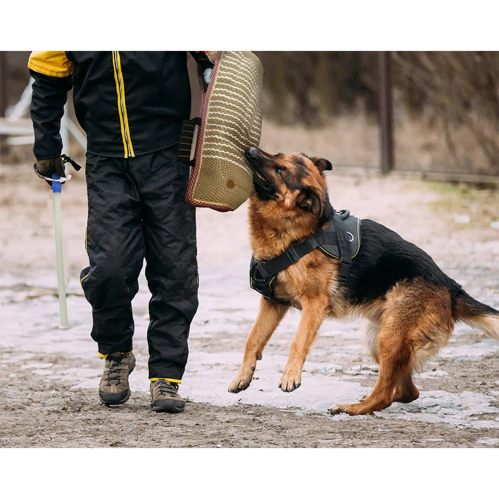 Dog Training Arm Sleeve Professional Dog Training Set Whip Agitation Stick for Large Big Dogs Safe Protection Sleeve