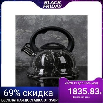 

Whistling kettle 2.8 l "Ashford"