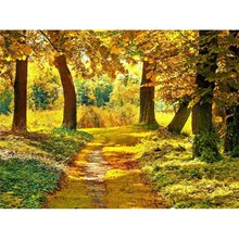 5D алмазная картина Осеннее дерево Пейзаж Вышивка крестиком Стразы Алмазная вышивка DIY фото на заказ полная круглая мозаика настенная живопись