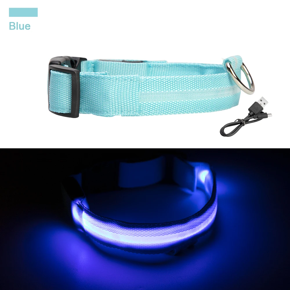 blue with usb Нейлоновый светодиодный ошейник для питомца собаки с зарядным usb-интерфейсом для безопасности в ночное время с защитой от потери мигающие светящиеся ошейники для собак светящиеся флуоресцентные ошейники - Цвет: blue with usb