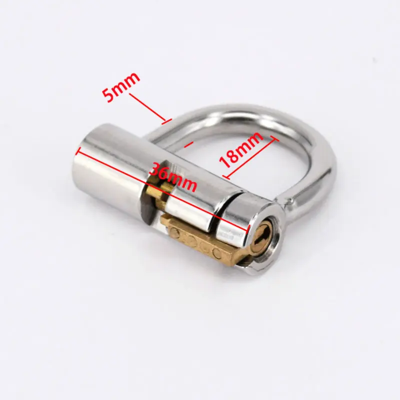 Kopen Roestvrij Staal Titanium D Ring PA Lock Eikel Piercing Mannelijke Kuisheidsgordel Penis Harnas Terughoudendheid Riemen Fitting, PA Punctie