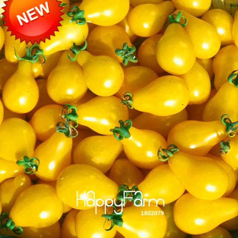 Горячая Распродажа! Белый томат бонсай, горшечный органический растительный Томатный завод для домашнего сада 100 шт./лот,#00KGM6