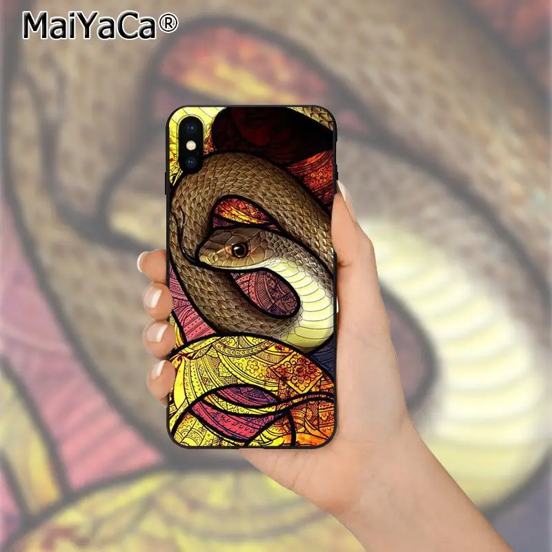 Coral snake animal