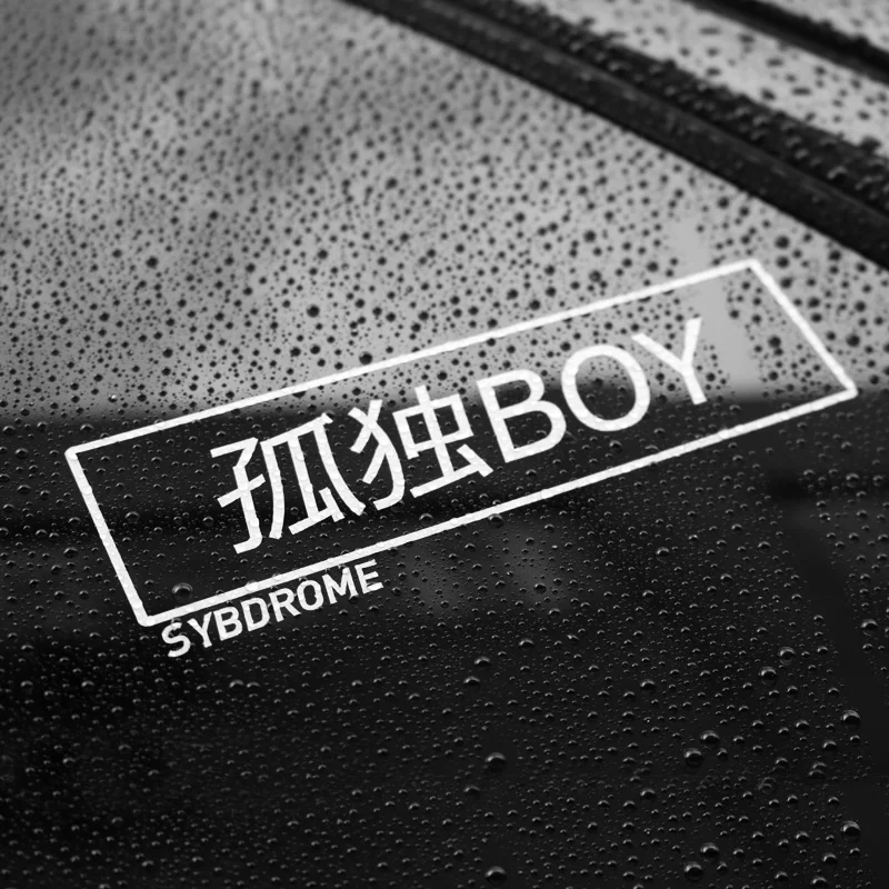 Noizzy одиночество считается нормой Хо виниловые наклейки на машину