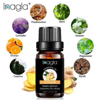 

Inagla Ginger Essential Oil Pure Natural 10ML Pure Essential Oils Aromatherapy Diffusers Oil Relieve Stress Home Air Care