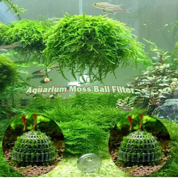 

Aquarium Marimo Moss Ball Live Plants Filter For Java Shrimps Fish Tank Decorations & Ornaments