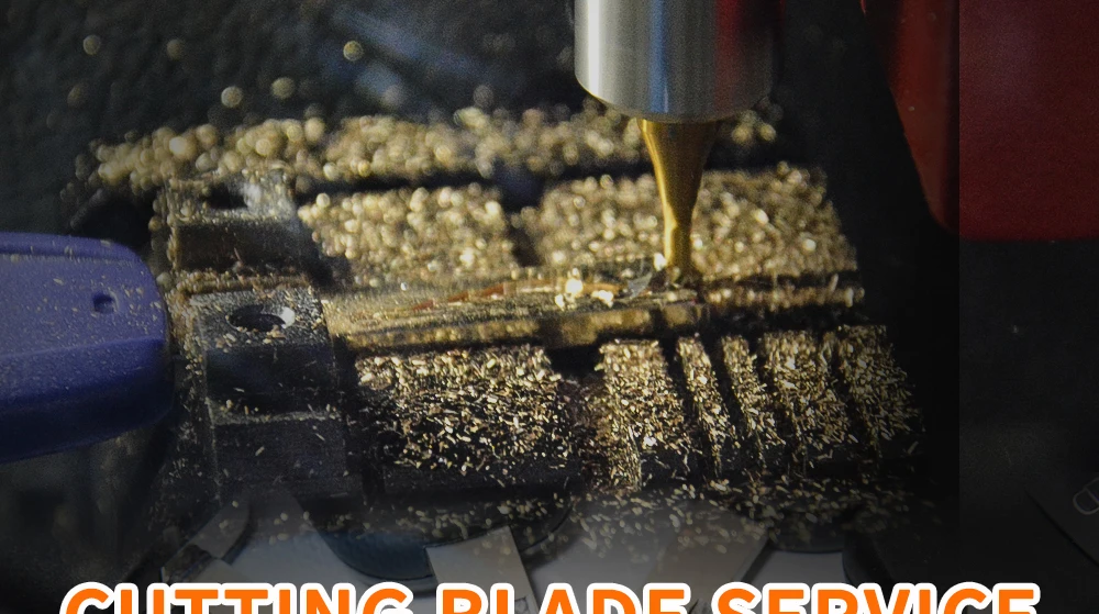 HTB1UlanaxrvK1RjSszeq6yObFXa8