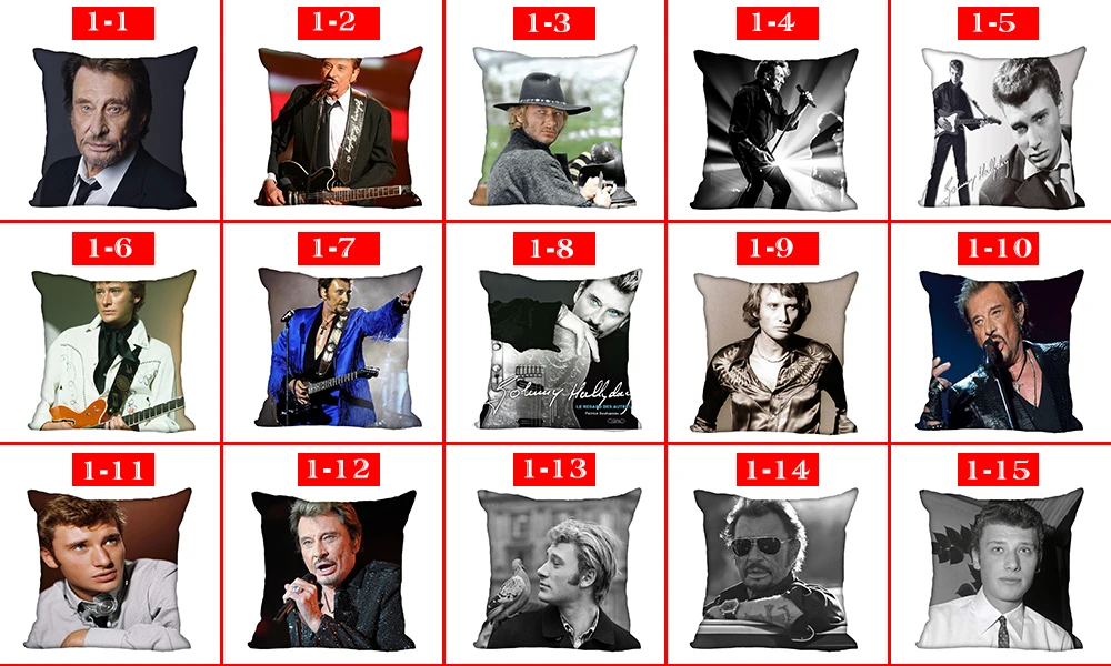 johnny hallyday 