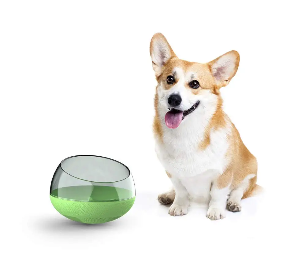 QQQPET новая дизайнерская миска для медленной кормушки собак непротекаемая