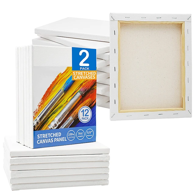 12 Pack Canvases for Painting with 11x14, Painting Canvas for  Oil & Acrylic Paint.