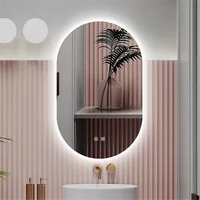 Oval Smart Vanity Bathroom Mirror High Quality Refection Three Color Brightness Dimmer With Anti-fog LED Hotel bath Mirror 2