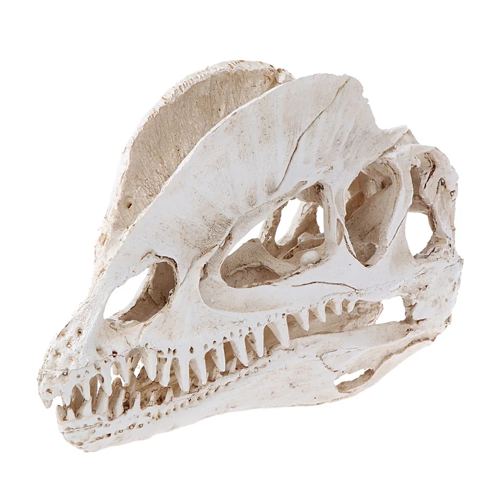 Dilophosaurus череп динозавра смолы ремесла Fossil обучение скелету модель Хэллоуин украшения дома офиса