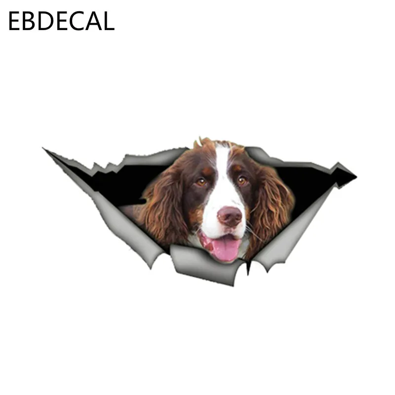 EBdecal Brown and White Springer Spaniel For Auto Car/Bumper/Window