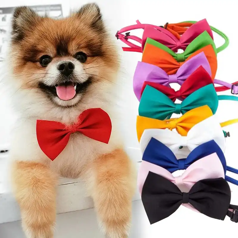 Cani Accessori Per Animali Kawaii Collana Del Cane Del Gatto Regolabile Cinghia Per Collare Del Gatto Dell Animale Domestico Del Cane Papillon Puppy Papillon Cane Forniture Per Animali Da Compagnia Collari E Guinzagli Per