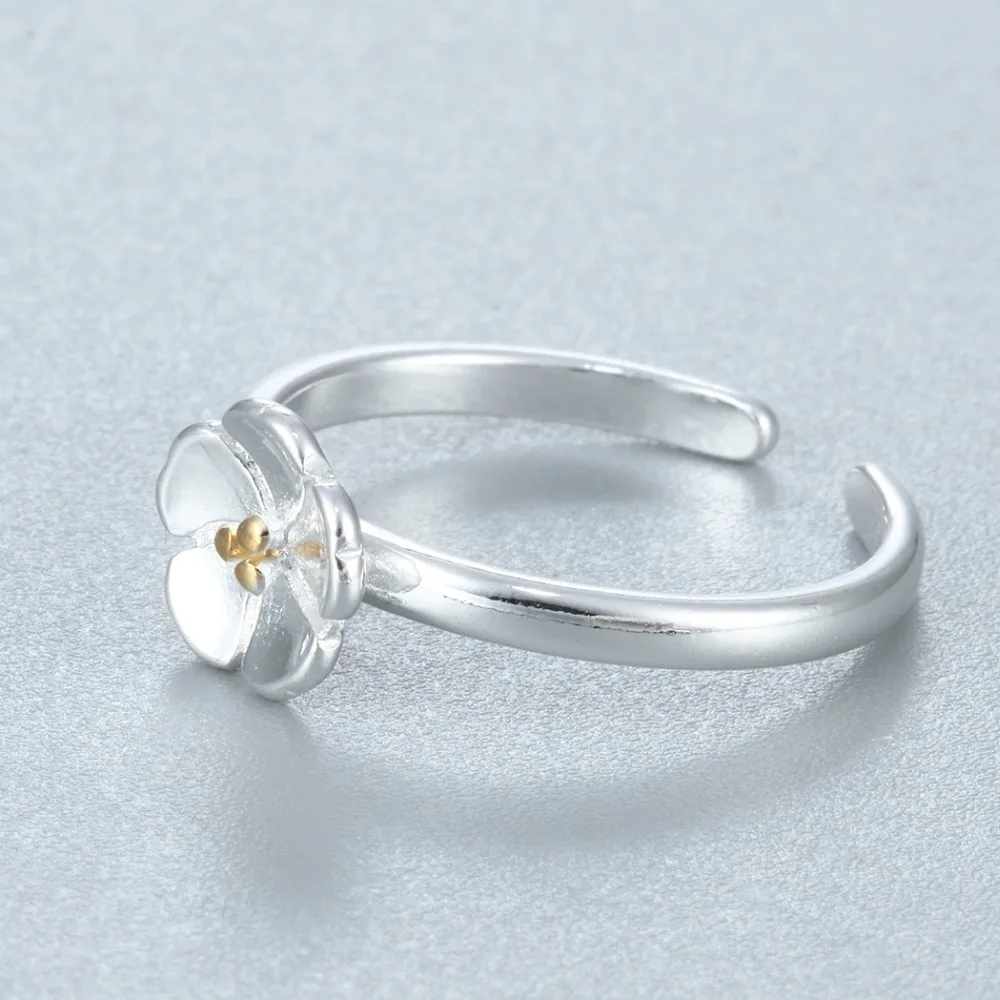 HTB13TCePXXXXXaJXFXXq6xXFXXXE