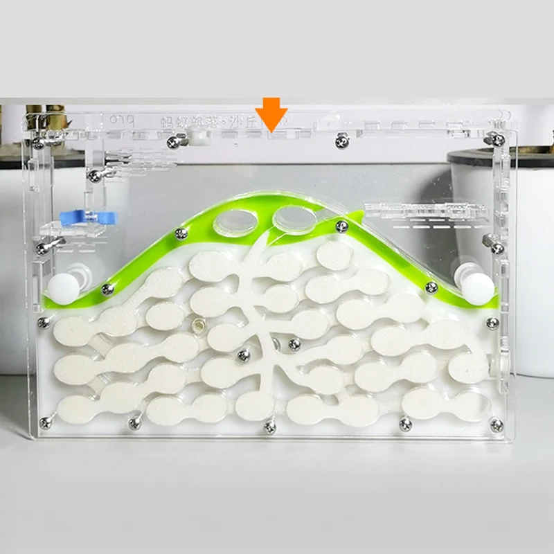 

DIY Transparent Acryl Pet Anthill Workshop Ant Farm Natural Ecological Ants Nest Insect Ant House Factory village tribe