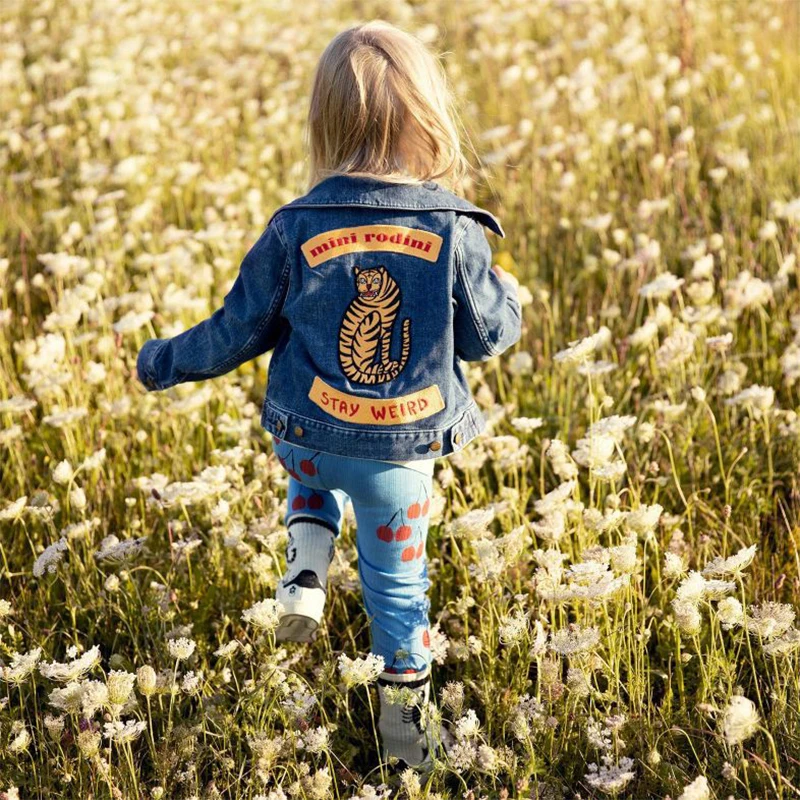 11744936745_1245469904